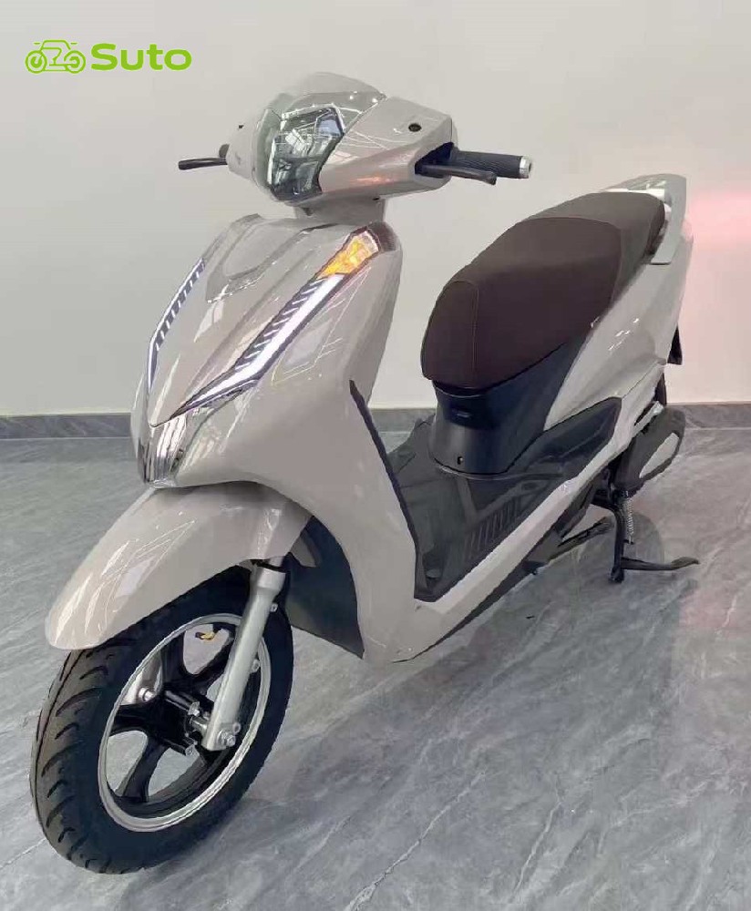 Electric Two-Wheelers Continuously Expand Market Share in South Asia